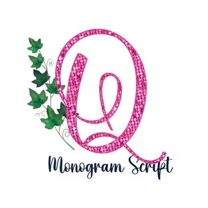 Puede incluir: Letra Q de purpurina rosa con un diseño de vid verde con hojas. El texto "Monogram Script" está debajo de la letra.