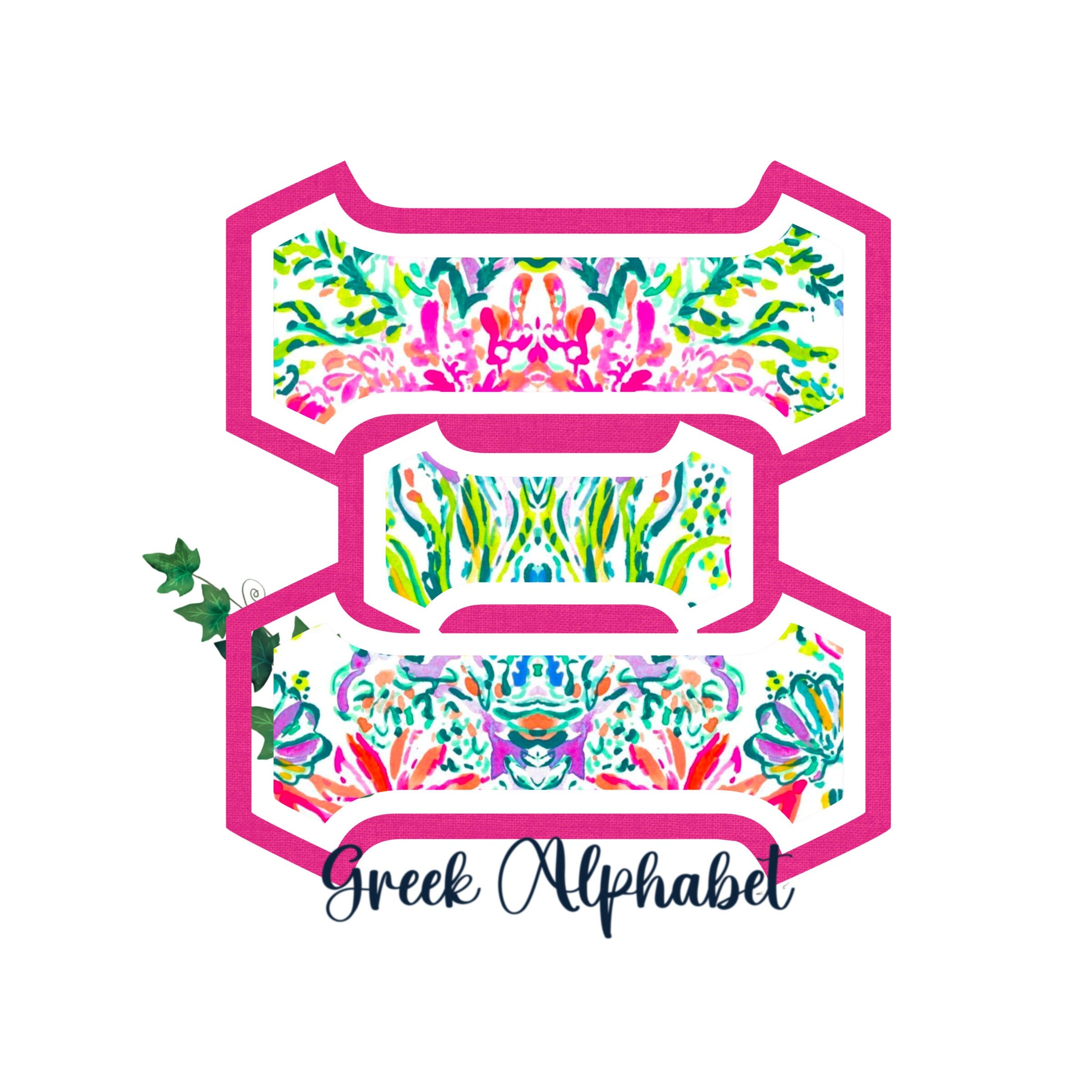 Lettere greche, carattere, alfabeto, PNG, articoli universitari, regalo di sorellanza, sublimazione, roba preppy, fiori luminosi, Cape Cod,