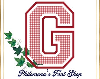 Gingham Letterman Varsity Font, Letters, Alphabet, Font, Sublimation, PNG, Clipart, Sorority, Flowers, Pink Plaid Football, Preppy Stuff