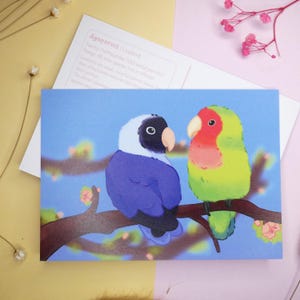 Unzertrennliche Postkarte Süßes Vogelpaar Valentinstag Infokarte