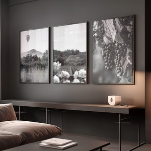 Affiche de la Napa Valley, lot de 3, impression noir et blanc, art mural imprimable, photo de la Napa Valley, affiche de la Californie, décoration d'art maison