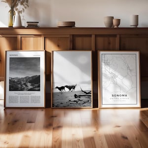 Sonoma Gallery Set of 3: Black and White Photo, Map, Newspaper (Digital Print)