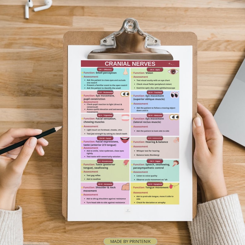Cranial Nerves Cheat Sheet: Neuro Anatomy Nursing Assessment (printable ...