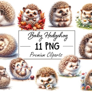 Enchanting Woodland Baby Hedgehogs - 11 Charming PNG Digital Files, Instant Download