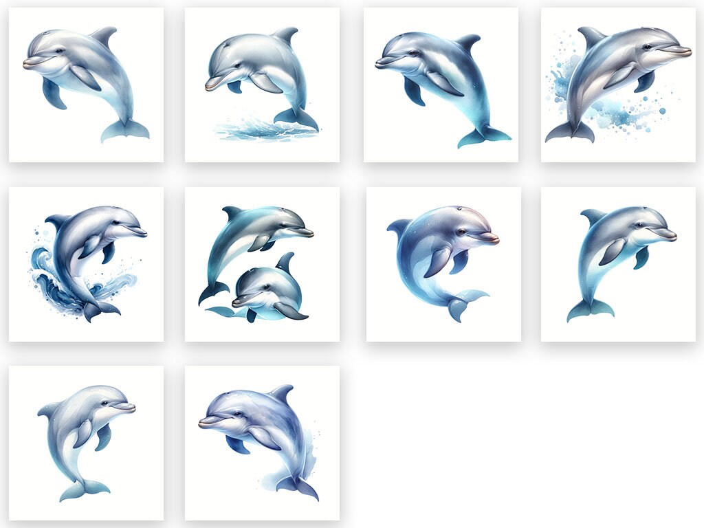 Dolphin Collection Adorable Baby Dolphin Collection - 10 PNG Digital Files, Instant ...