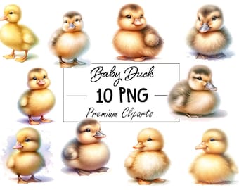 Charming Baby Duck Clipart Collection - 10 PNG Digital Files for Delightful Designs!