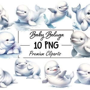 Bezaubernde Baby Beluga Clipart - 10 PNG-Dateien, sofortiger Download für Ocean-Themed-Projekte