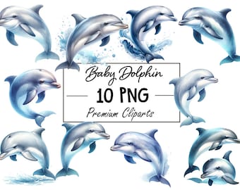 Adorable Baby Dolphin Collection - 10 fichiers numériques PNG, téléchargement instantané