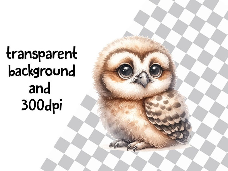 Captivating Woodland Baby Owl Collection 10 PNG Digital Files, Instant