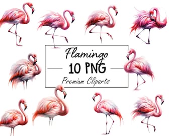 Elegant Flamingo Collection - 10 PNG Digital Files, Instant Download