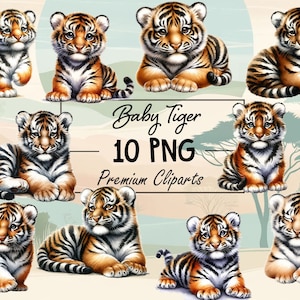 Adorable Baby Tiger PNG Collection - Set of 10 Majestic Tiger Cub Images for Digital Use