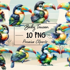 Vibrant Baby Toucan PNG Collection - Set of 10 Colorful Toucan Bird Images for Creative Projects