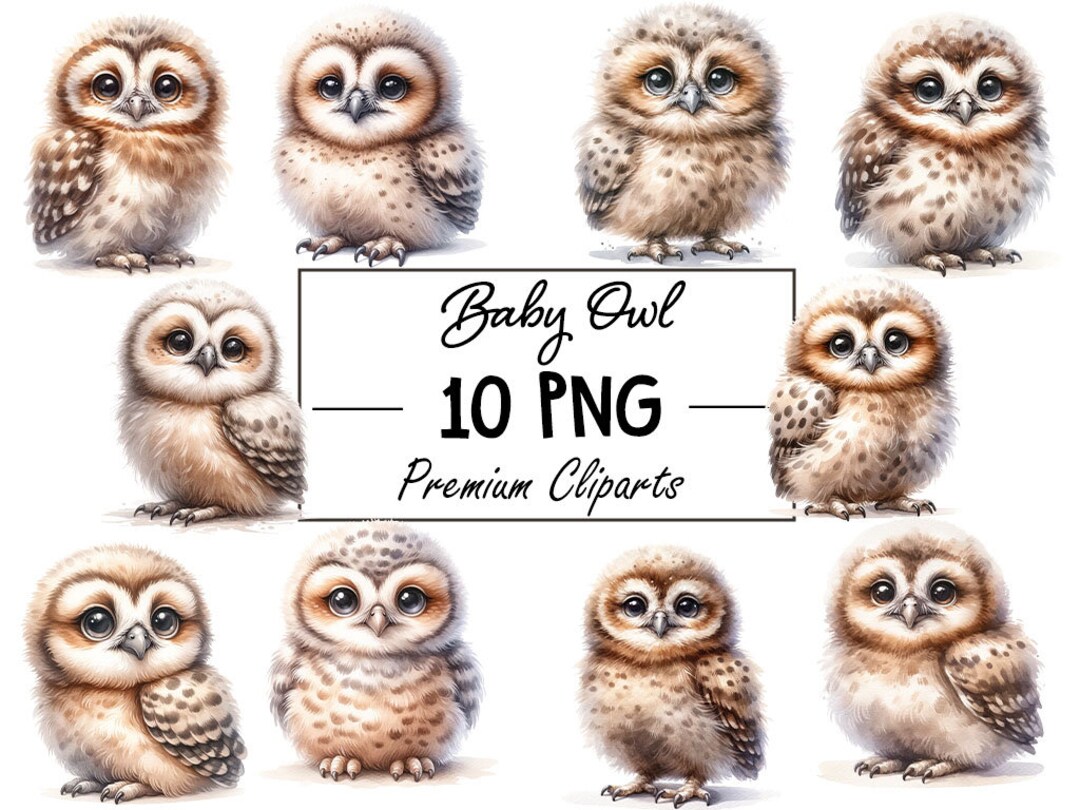 Captivating Woodland Baby Owl Collection 10 PNG Digital Files, Instant