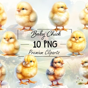 Sweet Baby Chick PNG Collection - 10 Adorable Chick Images for Creative Digital Projects