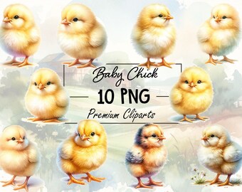 Sweet Baby Chick PNG Collection - 10 Adorable Chick Images for Creative Digital Projects