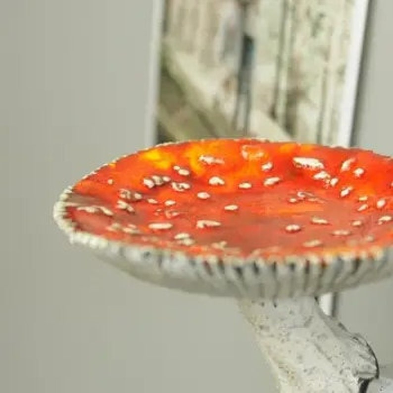 Mushroom Shelf Floating Shelves Hanging Shelves Wall Decor Mushroom
