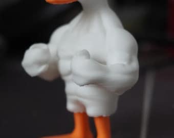 The Muscle Goose Dashboard Ornament | Jeep Ducking Exchange Gift | Cute Car Accessory | Jeep Wrangler Accessory