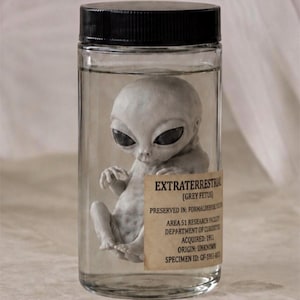 May include: A clear glass jar with a black lid containing a grey extraterrestrial fetus figure submerged in liquid. A beige label on the jar reads: EXTRATERRESTRIAL (GREY FETUS) PRESERVED IN: FORMALDEHYDE SOLUTION AREA 51 RESEARCH FACILITY DEPARTMENT OF CURIOSITIES.