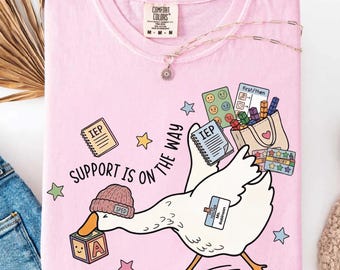 Comfort Colors Silly Goose Special Education Teacher Shirt, Funny Special Education Teacher Gift, SPED Teacher Shirt, Special Ed Team Shirt