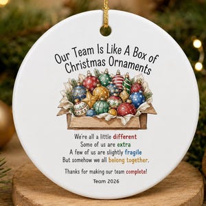 Team Christmas Ornament 2026, Coworker Gift, Staff Appreciation Gift, Employee Christmas Gift, Office Team Ornament, Work Team Keepsake Gift