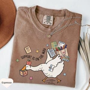 May include: Espresso-colored t-shirt with a whimsical graphic of a white goose carrying school supplies and the text "SUPPORT IS ON THE WAY." The design includes stars, an apple, and the letters "A" and "IEP."