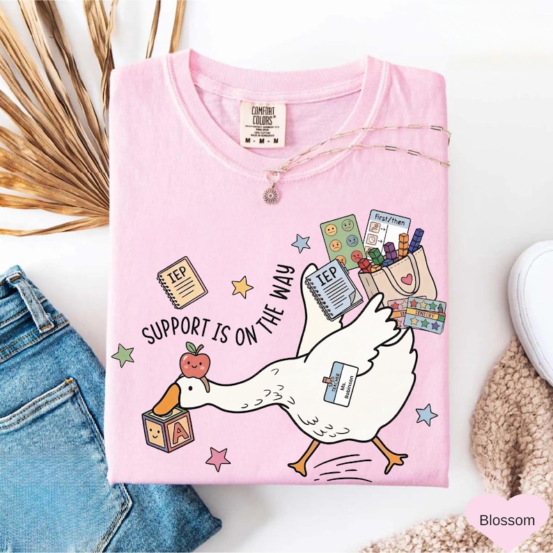 May include: A light pink t-shirt with a whimsical design featuring a white goose carrying school supplies. The shirt has the text "SUPPORT IS ON THE WAY" and "IEP". The shirt is a Comfort Colors brand.
