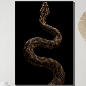 May include: A detailed image of a snake with a brown and black pattern against a black background. The snake is coiled in a curved shape, showcasing its textured scales. The artwork is a striking representation of wildlife.