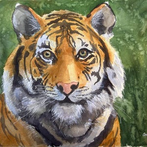 ORIGINAL WATERCOLOR PAINTING: Tiger