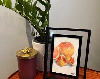 Original Ruby Red Grapefruit Watercolor