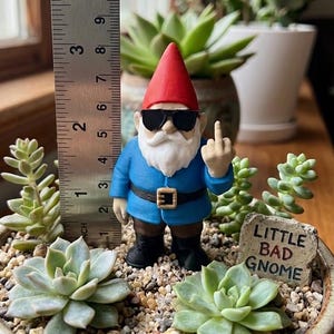 May include: A garden gnome figurine wearing a red hat, black sunglasses, a blue jacket, and black boots, standing in a succulent planter. The gnome is gesturing with a middle finger. A metal ruler shows the gnome is approximately 9 cm tall.