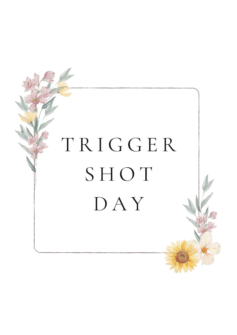 May include: A floral frame with pink and yellow flowers and green leaves surrounds the text "TRIGGER SHOT DAY".