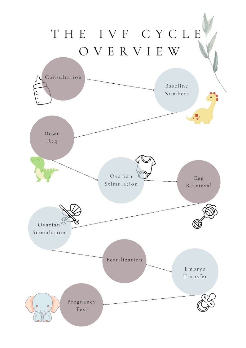 May include: A flowchart diagram illustrating the steps involved in the in vitro fertilization (IVF) cycle. The steps include consultation, baseline numbers, down regulation, ovarian stimulation, egg retrieval, fertilization, embryo transfer, and pregnancy test. Each step is represented by a circle with a relevant icon and text label.