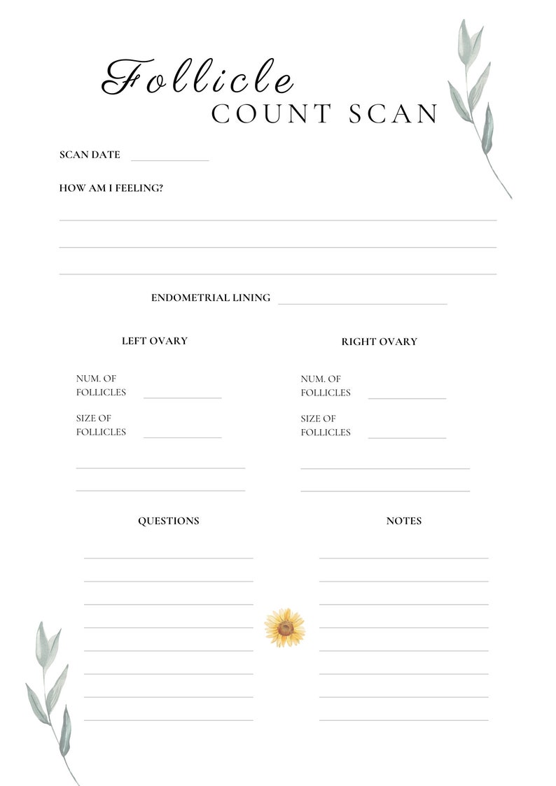 May include: Printable follicle count scan tracker with sections for scan date, how you are feeling, endometrial lining, left ovary, right ovary, questions, and notes. The tracker is decorated with a sunflower and green leaves.