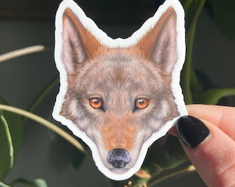 Red Wolf Sticker: Waterproof Vinyl