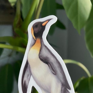 Penguin Sticker | King Penguin Sticker, Bird Sticker, Water bottle sticker