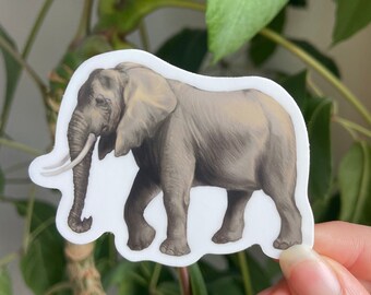African Elephant Sticker: Waterproof Vinyl