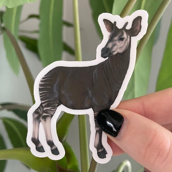 Okapi - Etsy