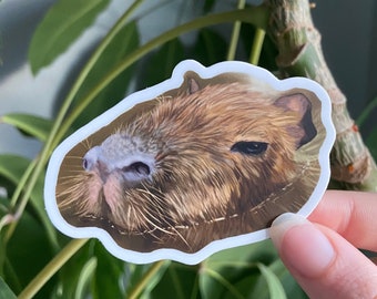 Capybara Sticker 3x2.15