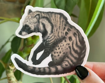 African Civet Sticker: Waterproof Vinyl