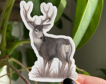 Mule Deer Buck Sticker: Waterproof Vinyl Sticker