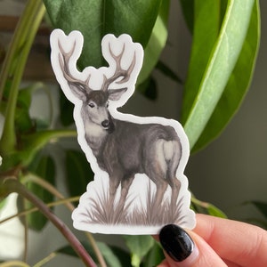 Mule Deer Buck Sticker: Waterproof Vinyl Sticker