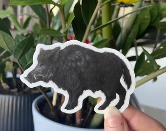Wild Boar Sticker: Waterproof Vinyl Sticker