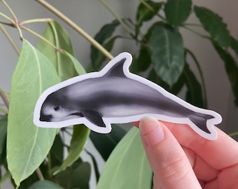 Vaquita Sticker: Marine Life Cetacean Vinyl