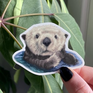 Sea Otter Sticker | Otter sticker, Wildlife sticker, Water bottle sticker, Nature sticker