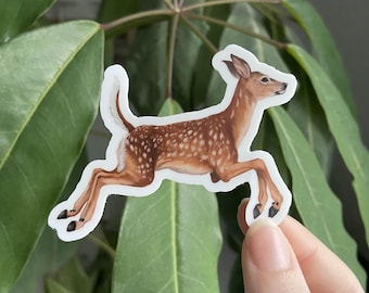 Fawn Sticker: Whitetail Deer, Waterproof Vinyl