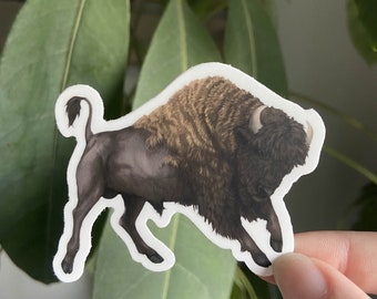 American Bison Sticker: Waterproof Vinyl