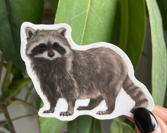 Raccoon Sticker: Waterproof Vinyl