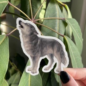 Gray Wolf Sticker: Waterproof Vinyl