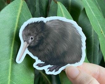 Kiwi Bird Sticker: Waterproof Vinyl
