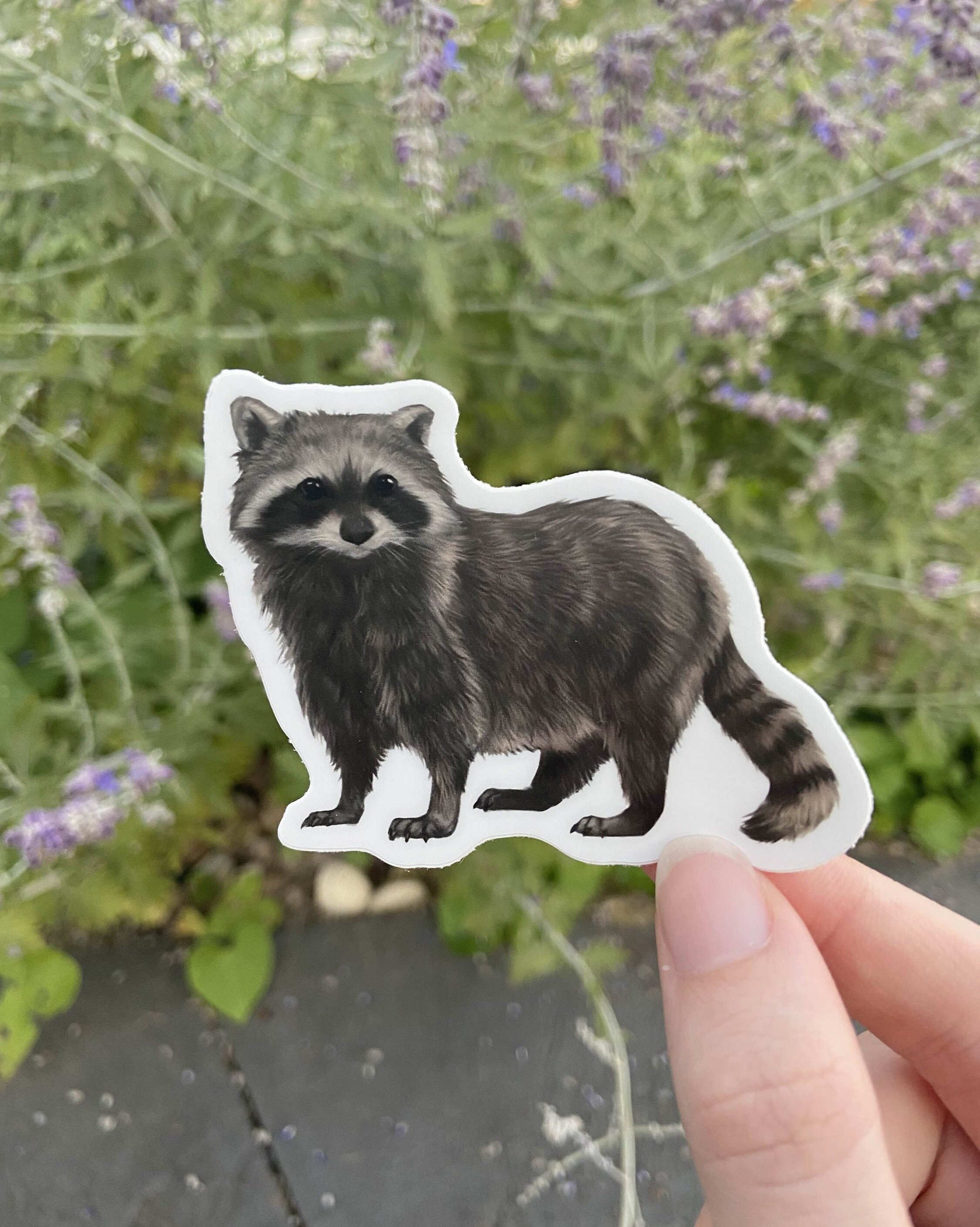 Raccoon Sticker: Waterproof Vinyl - Etsy